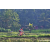 Team 17 / Raid Amazones Sri Lanka 2023 - J5 VTT
