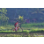 Team 86 / Raid Amazones Sri Lanka 2023 - J5 VTT