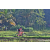 Team 90 / Raid Amazones Sri Lanka 2023 - J5 VTT