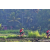 Team 39 / Raid Amazones Sri Lanka 2023 - J5 VTT