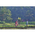 Team 47 / Raid Amazones Sri Lanka 2023 - J5 VTT