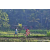 Team 47 / Raid Amazones Sri Lanka 2023 - J5 VTT