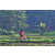 Team 30 / Raid Amazones Sri Lanka 2023 - J5 VTT