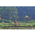 Team 74 / Raid Amazones Sri Lanka 2023 - J5 VTT