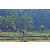 Team 03 / Raid Amazones Sri Lanka 2023 - J5 VTT