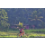 Team 26 / Raid Amazones Sri Lanka 2023 - J5 VTT