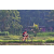 Team 75 / Raid Amazones Sri Lanka 2023 - J5 VTT