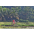 Team 29 / Raid Amazones Sri Lanka 2023 - J5 VTT