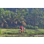 Team 29 / Raid Amazones Sri Lanka 2023 - J5 VTT
