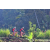 Team 41 / Raid Amazones Sri Lanka 2023 - J5 VTT