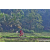 Team 82 / Raid Amazones Sri Lanka 2023 - J5 VTT