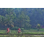Team 87 / Raid Amazones Sri Lanka 2023 - J5 VTT