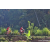 Team 87 / Raid Amazones Sri Lanka 2023 - J5 VTT