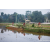 Team 309 / Raid Amazones Sri Lanka 2023 - J5 VTT