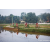 Team 314 / Raid Amazones Sri Lanka 2023 - J5 VTT