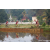 Team 303 / Raid Amazones Sri Lanka 2023 - J5 VTT