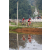 Team 322 / Raid Amazones Sri Lanka 2023 - J5 VTT