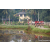 Team 01 / Raid Amazones Sri Lanka 2023 - J5 VTT