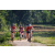 Team 05 / Raid Amazones Sri Lanka 2023 - J5 VTT