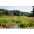 Team 55 / Raid Amazones Sri Lanka 2023 - J5 VTT