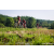 Team 63 / Raid Amazones Sri Lanka 2023 - J5 VTT