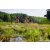 Team 42 / Raid Amazones Sri Lanka 2023 - J5 VTT