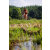 Team 34 / Raid Amazones Sri Lanka 2023 - J5 VTT