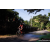 Team 40 / Raid Amazones Sri Lanka 2023 - J5 VTT