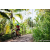 Team 14 / Raid Amazones Sri Lanka 2023 - J5 VTT