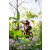 Team 20 / Raid Amazones Sri Lanka 2023 - J5 VTT