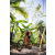 Team 10 / Raid Amazones Sri Lanka 2023 - J5 VTT