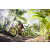 Team 73 / Raid Amazones Sri Lanka 2023 - J5 VTT