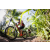 Team 37 / Raid Amazones Sri Lanka 2023 - J5 VTT