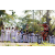 Team 11 / Raid Amazones Sri Lanka 2023 - J5 VTT