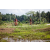 Team 09 / Raid Amazones Sri Lanka 2023 - J5 VTT