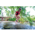 Team 73 / Raid Amazones Sri Lanka 2023 - J6 Trail