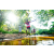Team 302 / Raid Amazones Sri Lanka 2023 - J6 Trail