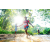 Team 302 / Raid Amazones Sri Lanka 2023 - J6 Trail
