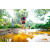 Team 20 / Raid Amazones Sri Lanka 2023 - J6 Trail