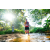 Team 317 / Raid Amazones Sri Lanka 2023 - J6 Trail