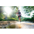 Team 324 / Raid Amazones Sri Lanka 2023 - J6 Trail