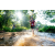 Team 323 / Raid Amazones Sri Lanka 2023 - J6 Trail