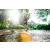 Team 315 / Raid Amazones Sri Lanka 2023 - J6 Trail
