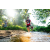 Team 315 / Raid Amazones Sri Lanka 2023 - J6 Trail