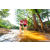 Team 67 / Raid Amazones Sri Lanka 2023 - J6 Trail