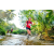 Team 11 / Raid Amazones Sri Lanka 2023 - J6 Trail