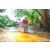 Team 48 / Raid Amazones Sri Lanka 2023 - J6 Trail