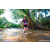 Team 48 / Raid Amazones Sri Lanka 2023 - J6 Trail