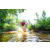 Team 27 / Raid Amazones Sri Lanka 2023 - J6 Trail