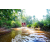 Team 04 / Raid Amazones Sri Lanka 2023 - J6 Trail